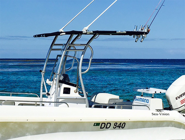 โปรโมชั่น! Dolphin Pro2 คอนโซล - Fishing Rod Boat บทวิจารณ์และราคา